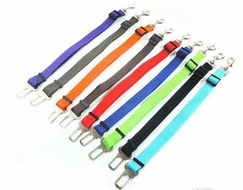 Seatbelt lead pet dog cat - lead,